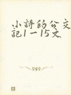 小诗的公交车日记1一15文