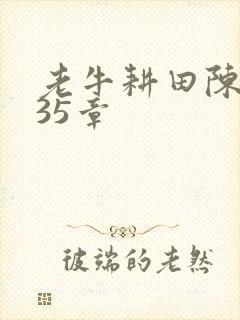 老牛耕田陈雪435章