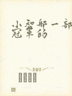 小智哪一部成为冠军的