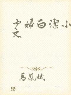 少妇白洁小说全文封面