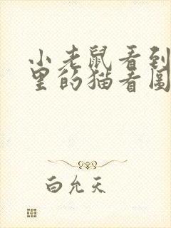 小老鼠看到电脑里的猫看图写话