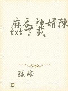 麻衣神婿陈黄皮txt下载