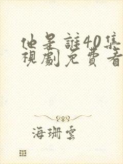 他是谁40集电视剧免费看全集