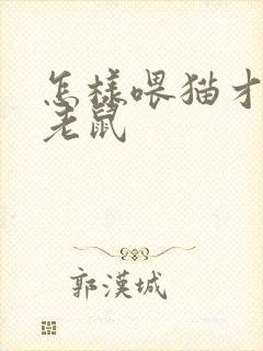 怎样喂猫才会抓老鼠