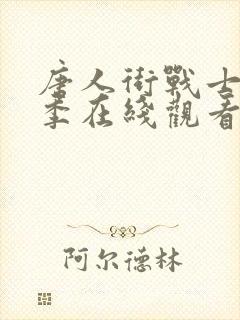 唐人街战士第二季在线观看