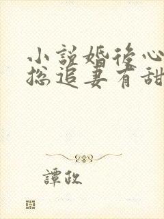 小说婚后心动凌总追妻有甜封面