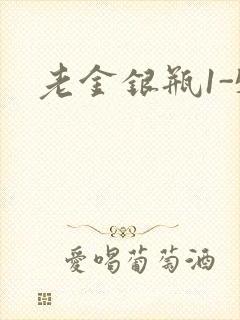 老金银瓶1-5封面