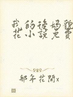 我的后妈貌美如花小说免费阅读