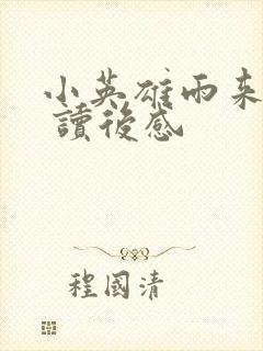 小英雄雨来 的 读后感封面