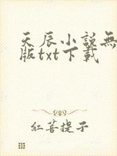 天辰小说无删减版txt下载
