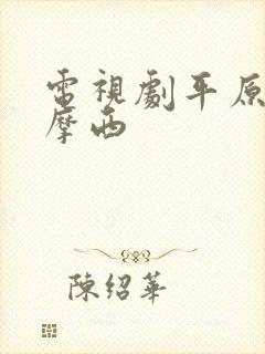 电视剧平原上的摩西封面