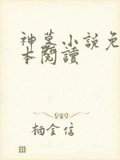 神墓小说免费全本阅读封面