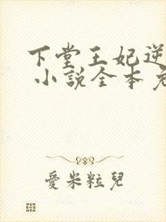 下堂王妃逆袭记 小说全本免费