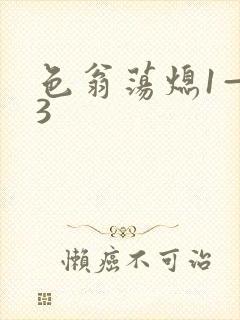 色翁荡熄1—13封面