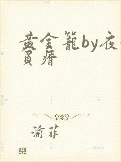 黄金笼by夜很贫瘠封面