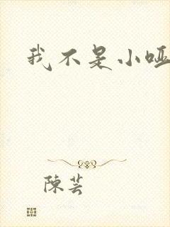我不是小哑巴封面