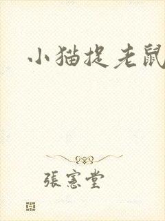 小猫捉老鼠扩句