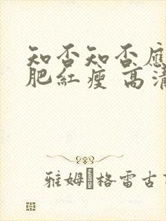 知否知否应是绿肥红瘦 高清下载封面