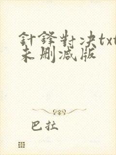针锋对决txt未删减版
