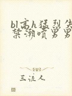 bl高h猛烈失禁潮喷男男教室