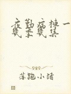 夜勤病栋一共有几季几集封面