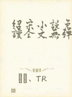 绍宋小说免费阅读全文无弹窗