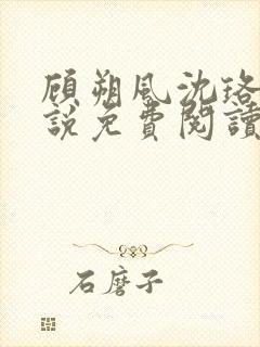 顾朔风沈珞舒小说免费阅读最新章节封面