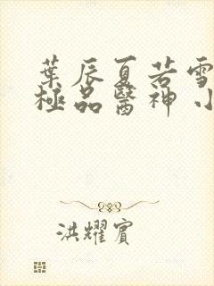 叶辰夏若雪都市极品医神 小说