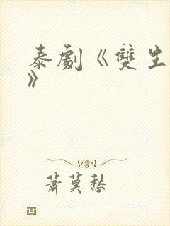 泰剧《双生对决》