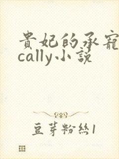 贵妃的承宠日常cally小说封面