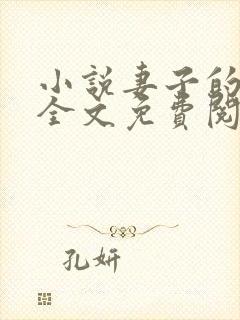 小说妻子的秘密全文免费阅读全文