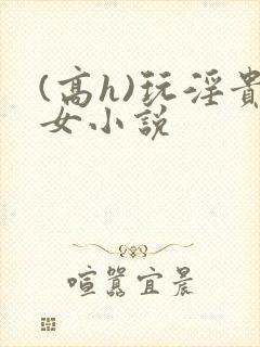 (高h)玩淫贵女小说