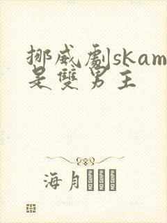 挪威剧skam是双男主封面