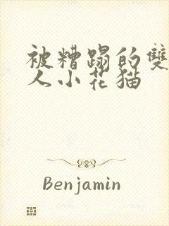 被糟蹋的双性美人小花猫