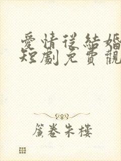 爱情从结婚开始短剧免费观看