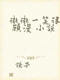 微微一笑很倾城 顾漫 小说