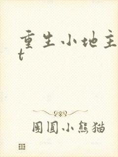 重生小地主txt封面