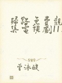 归路免费观看全集电视剧11集