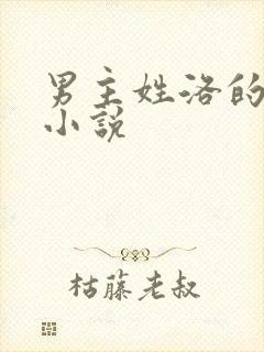 男主姓洛的总裁小说封面