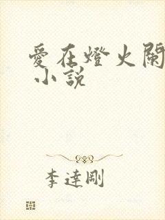 爱在灯火阑珊处 小说