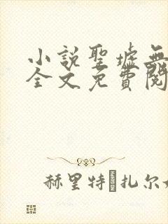 小说圣墟无弹窗全文免费阅读封面