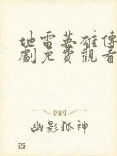 地雷英雄传电视剧免费观看全集在线播放封面