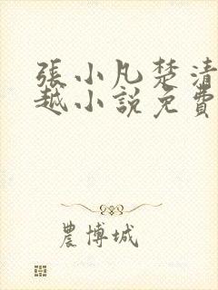 张小凡楚清璇穿越小说免费阅读