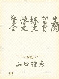 惊悚练习生小说全文免费阅读无弹窗