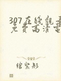 307在线观看免费高清电视剧封面