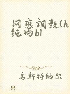 网恋调教(h)纯肉bl