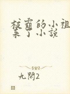 校霸的小祖宗回来了小说