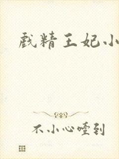 戏精王妃小说