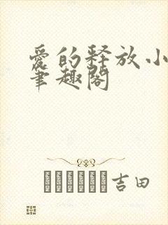 爱的释放小说 笔趣阁