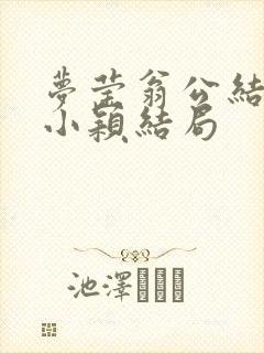 梦莹翁公结局后小颖结局